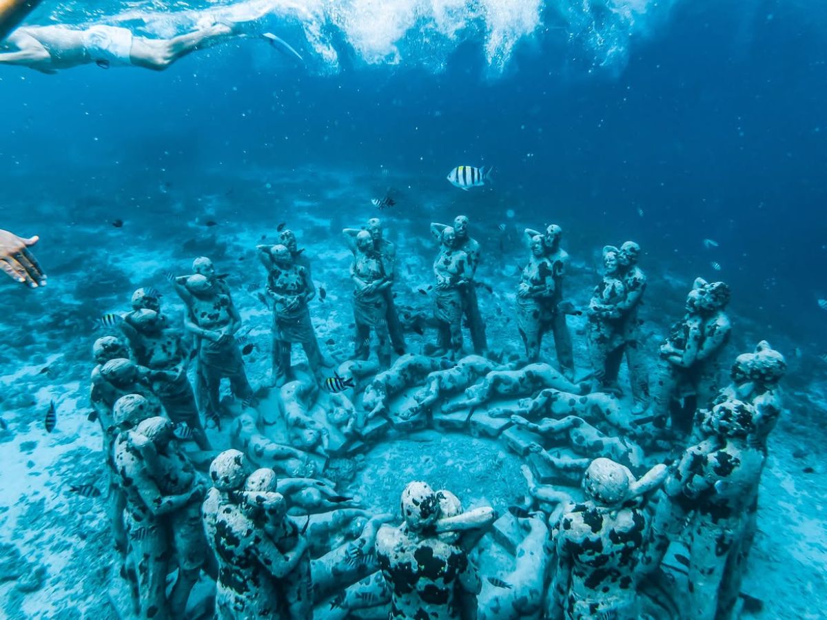 Colorful Coral Reefs in the Gili Islands