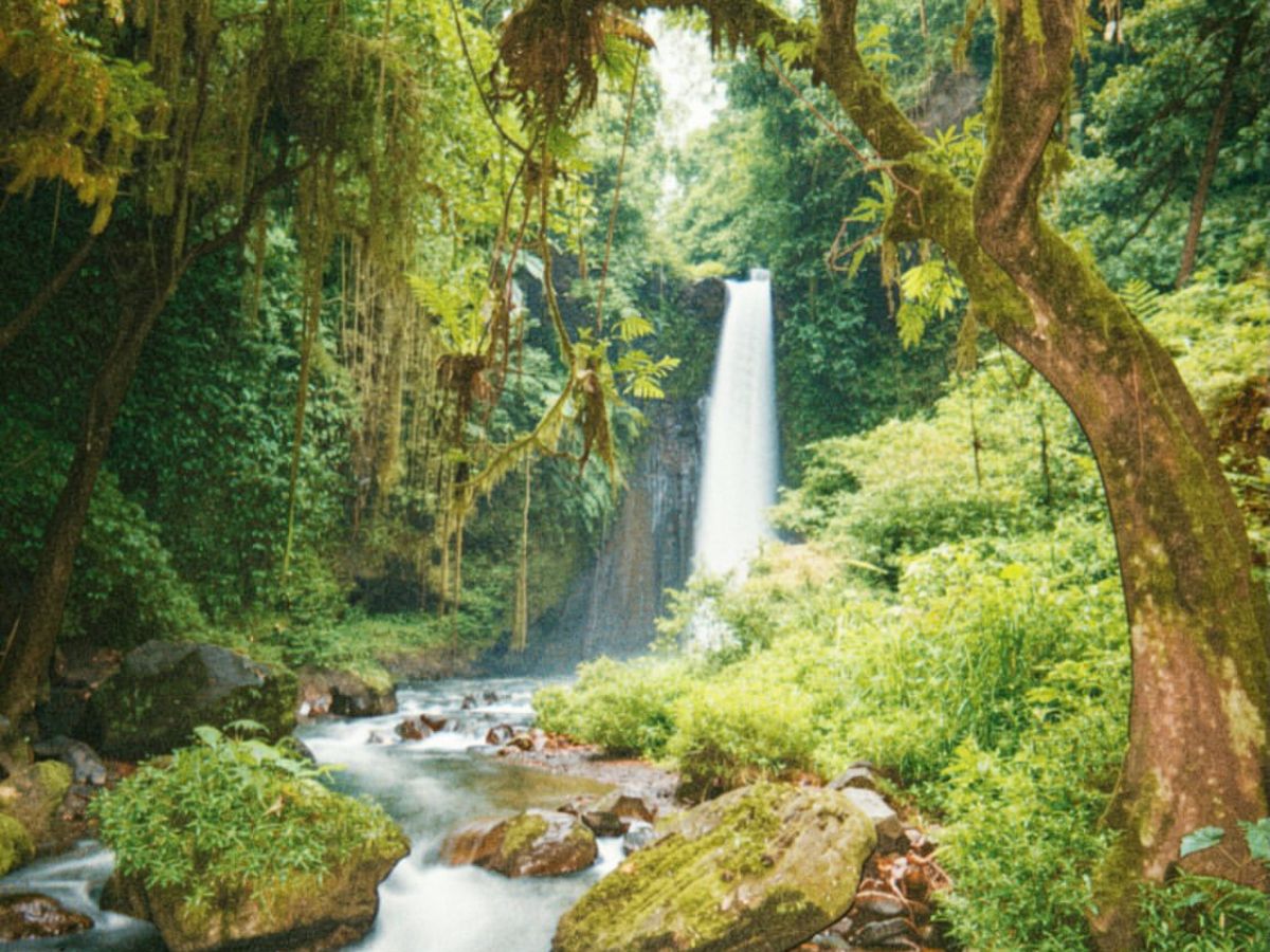Hidden Paradise Waterfall, Tetebatu