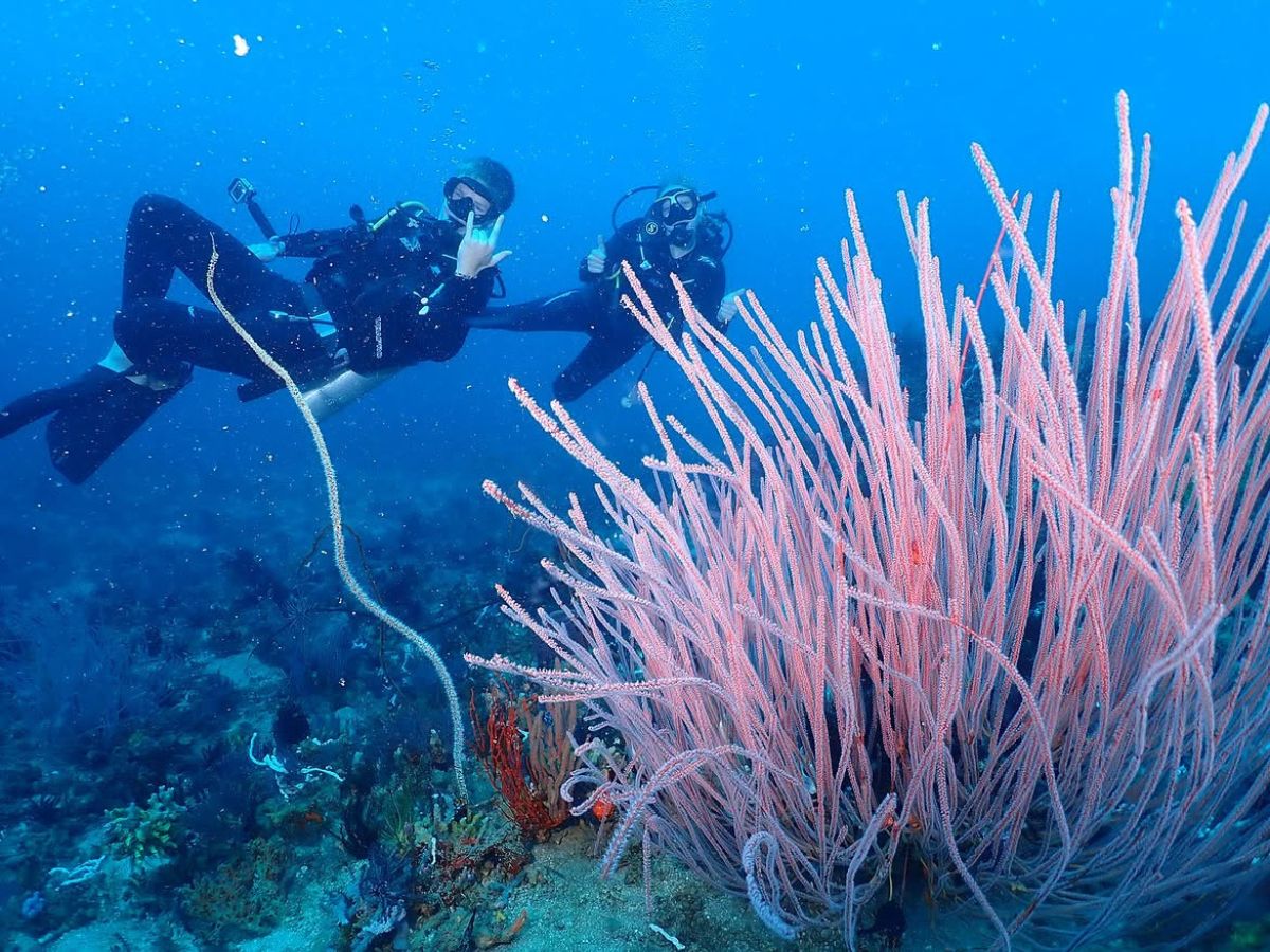 Hidden Paradise of Gili Gede, Layar & Rengit