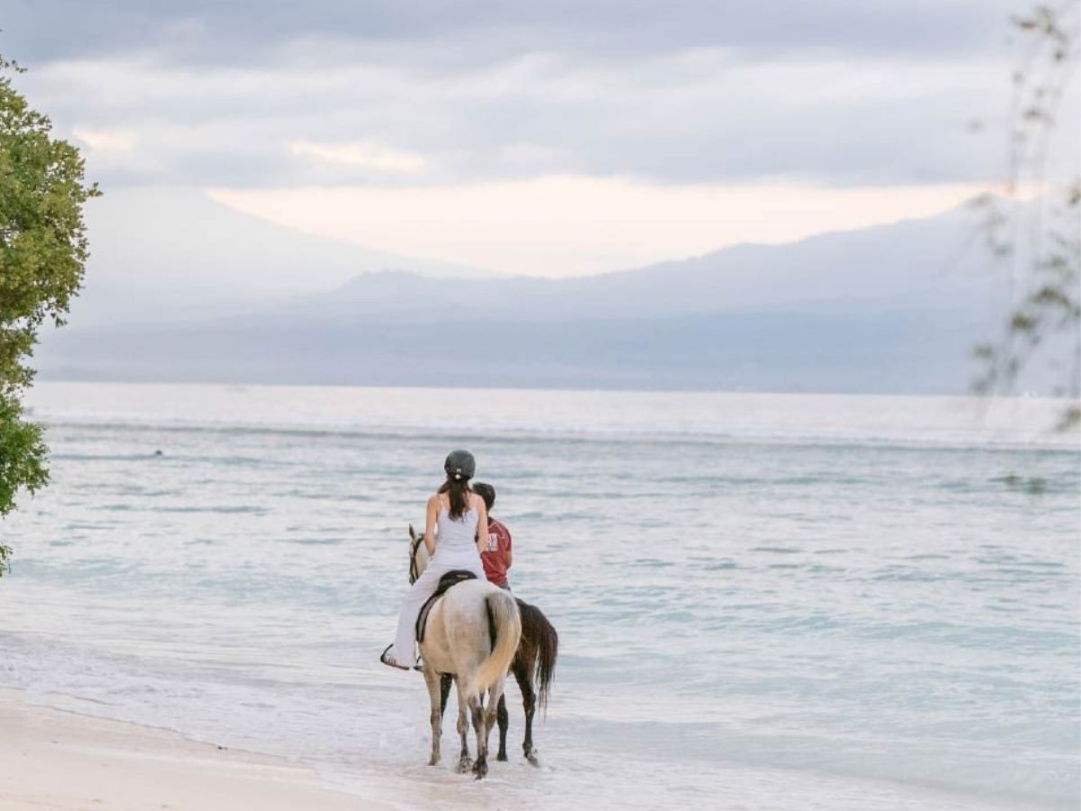 Horse Riding Experience in Gili Trawangan