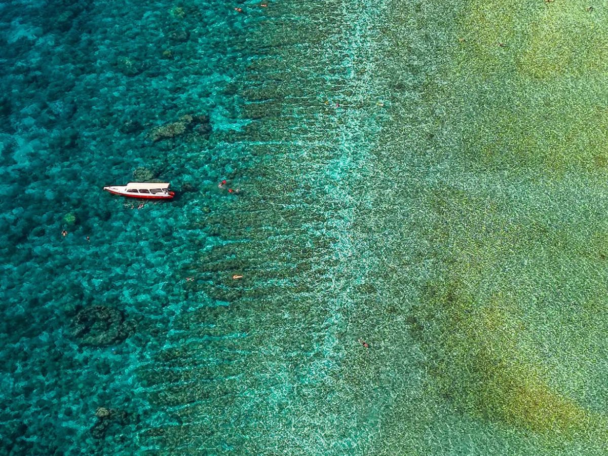 Marine Life in Gili Trawangan