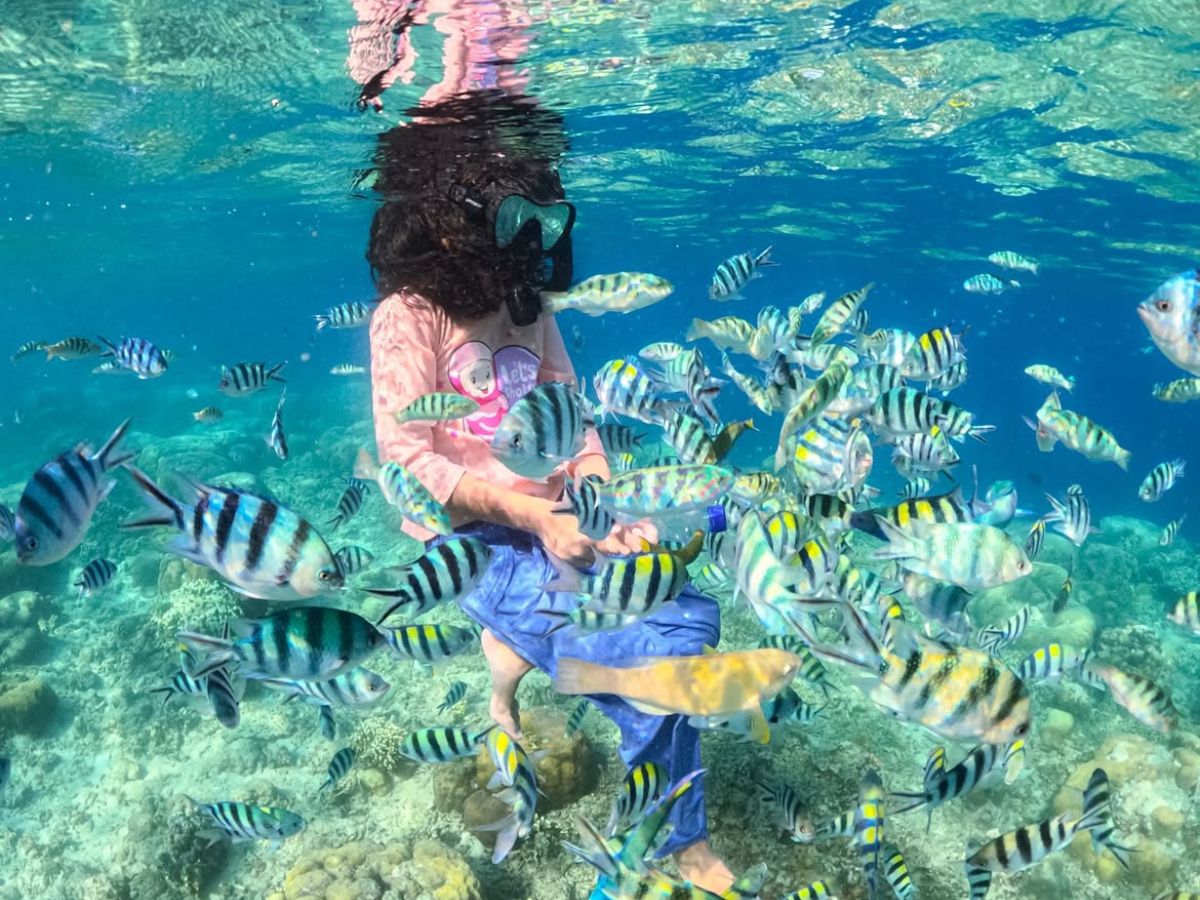 Private Snorkeling Tour at Gili Nanggu