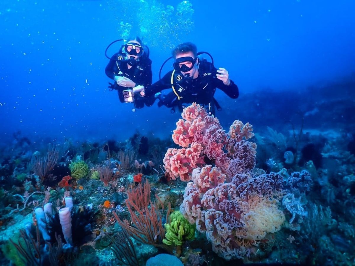 Private Snorkeling Tour in West Lombok