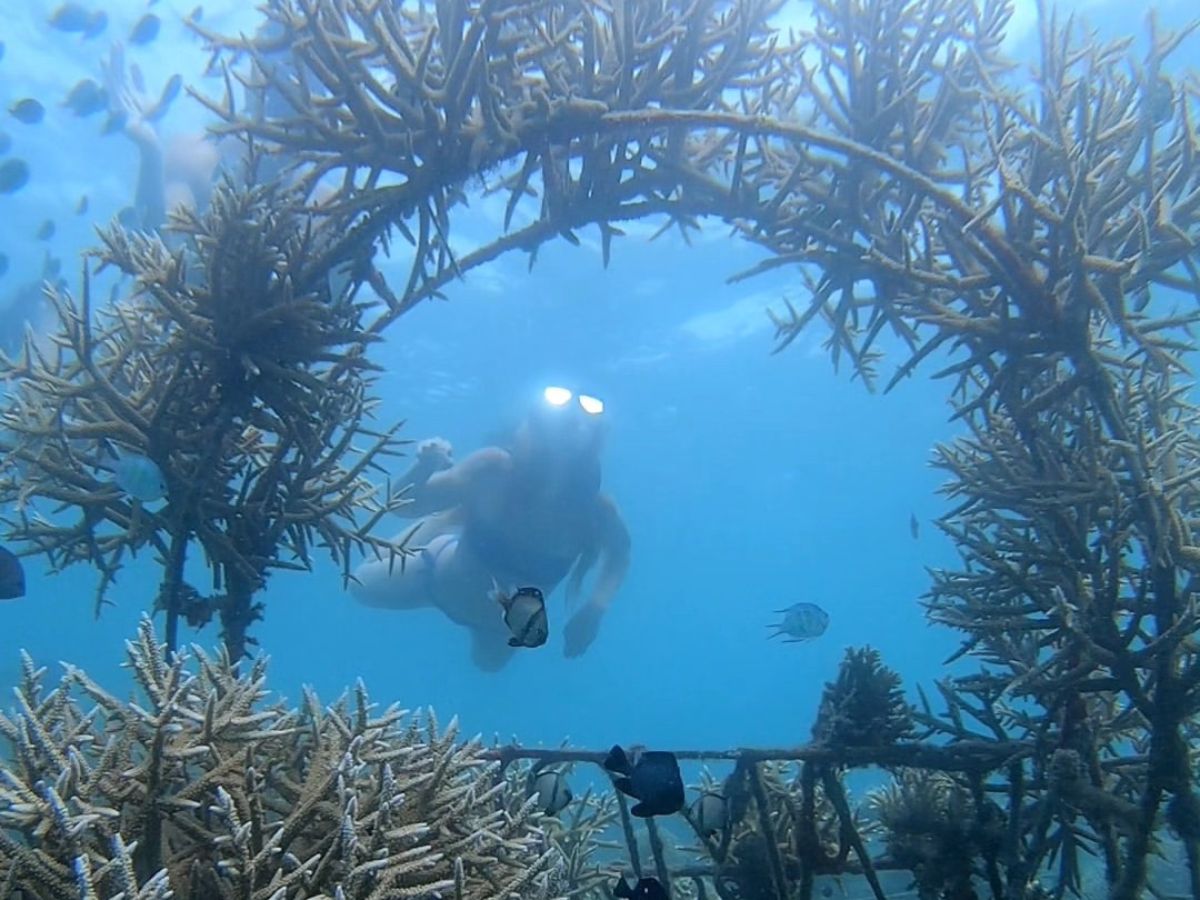 Snorkeling Adventure in West Lombok Secret Gilis