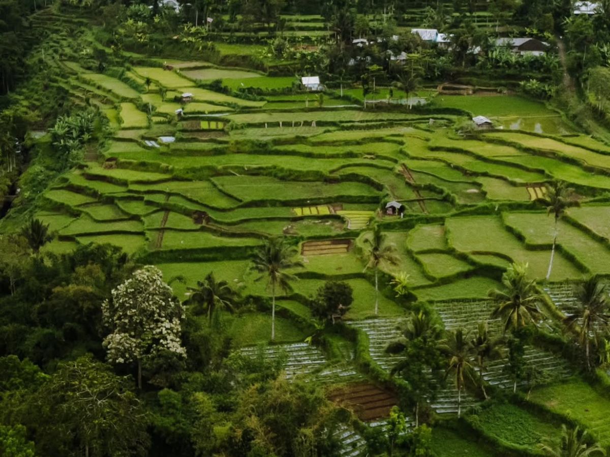 Tetebatu – The Green Heart of Lombok