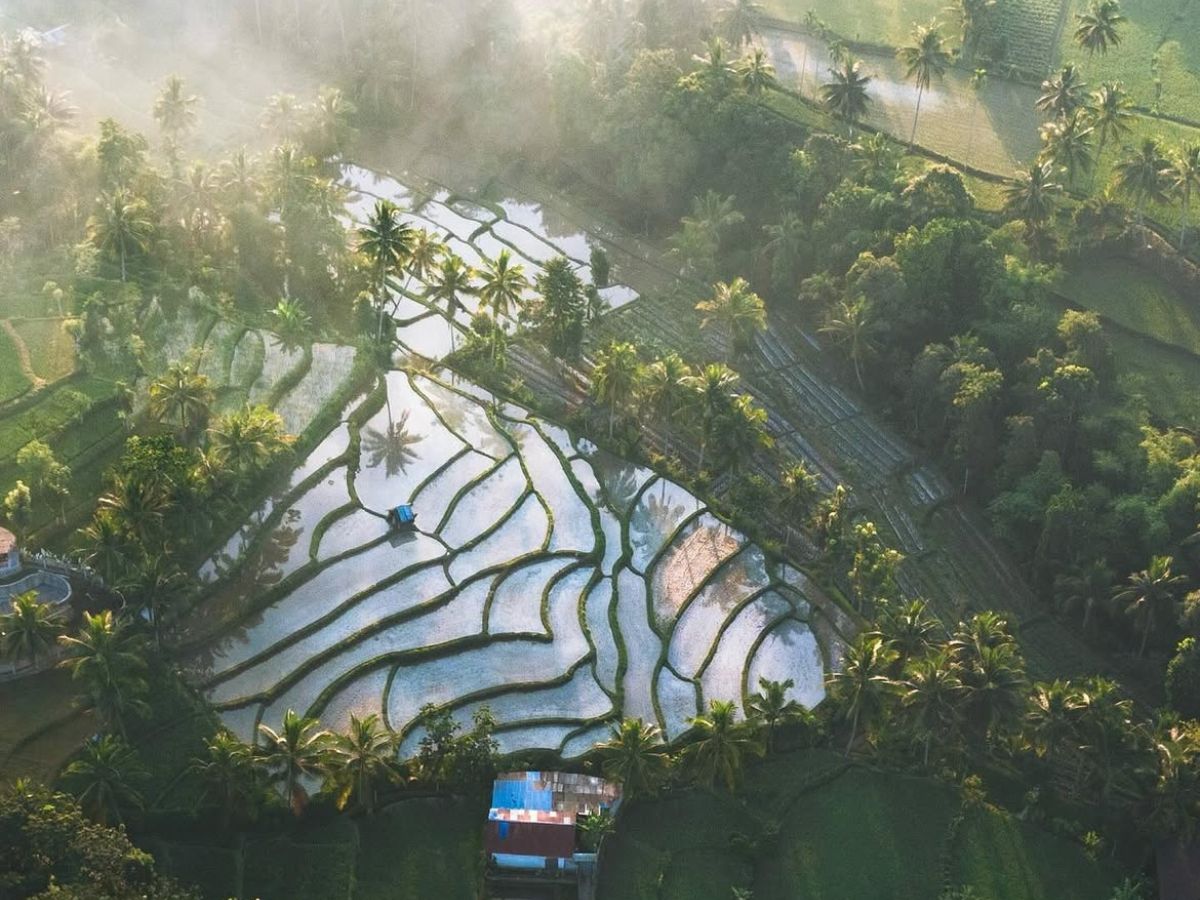The Beauty of Tetebatu, Lombok
