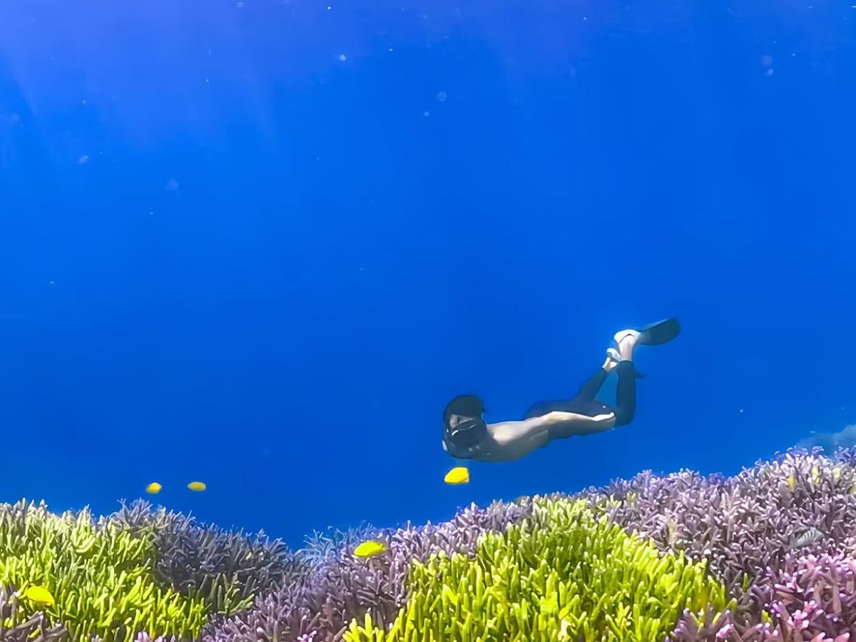 Tropical Escape to Gili Nanggu