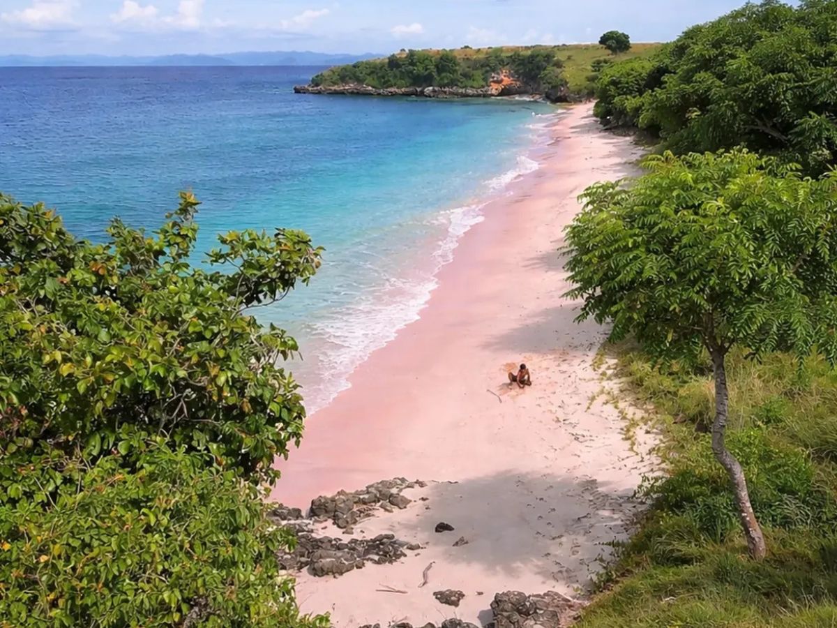 Ultimate Pink Beach Experience