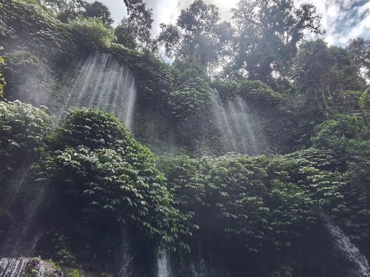 benang kelambu waterfall lombok - teh lombok tour