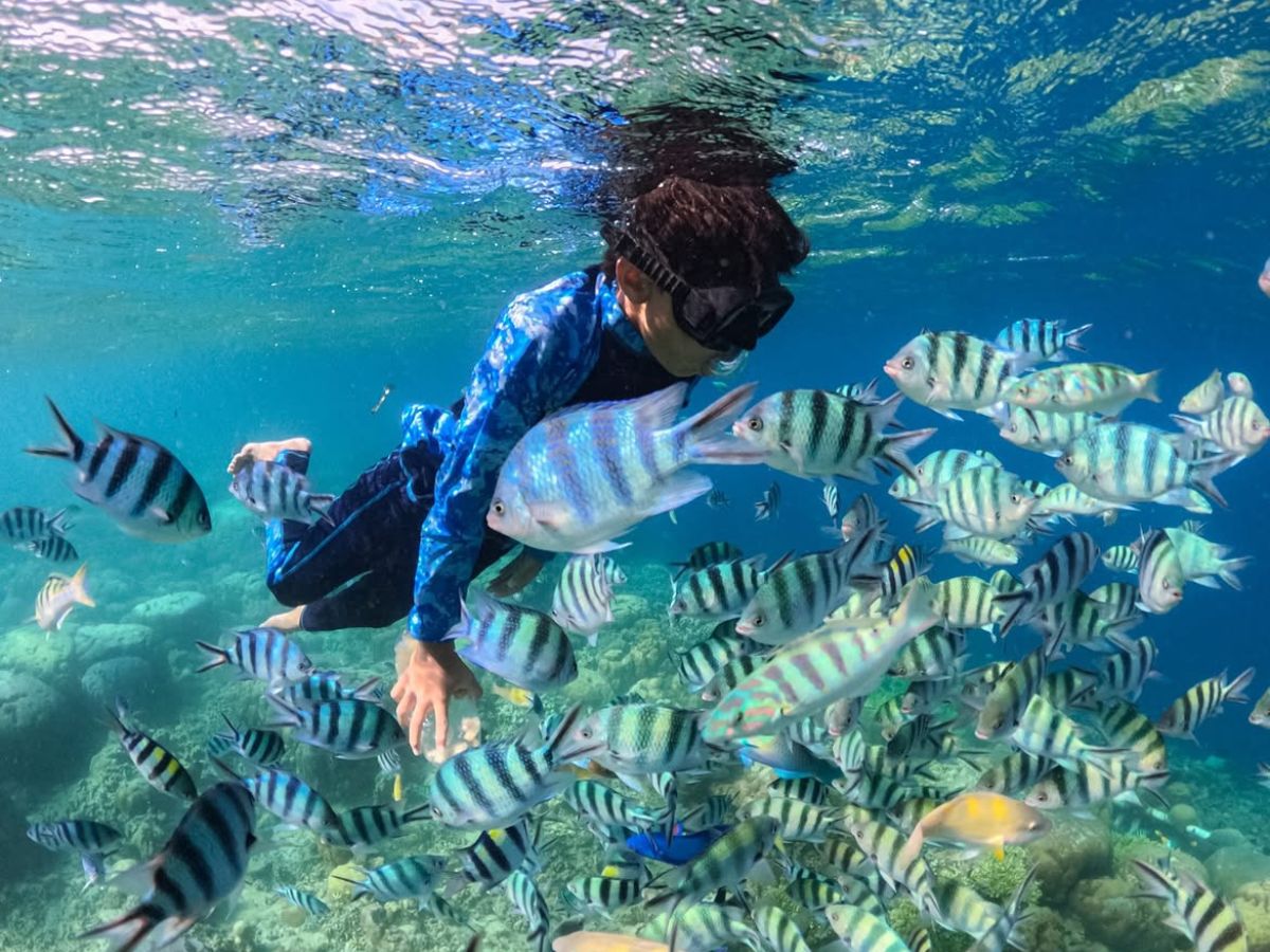 olorful Coral Reefs of Gili Nanggu