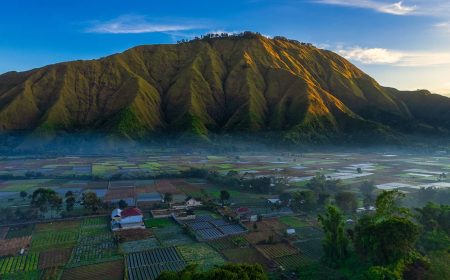 Beautiful Hills of Lombok