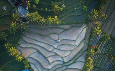 Tetebatu Village, Lombok, Indonesia